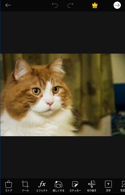 PicsArt Photo Studioの写真編集