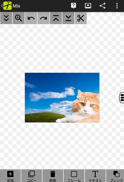 Cut+Mix Studioの写真合成