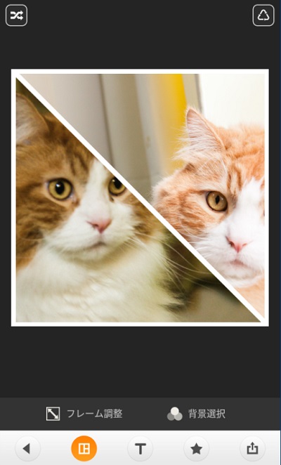 MOLDIVの写真張り付け