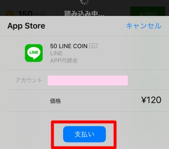 Apple Storeの確認が面から「支払い」をタップ