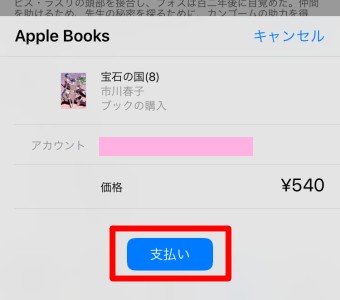「支払い」をタップ