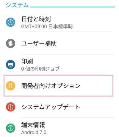 システムの開発者向けオプション