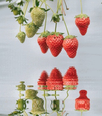 いちごの画像が水面gifになる