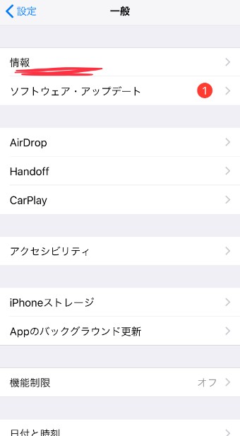 一般の1番上にある「情報」をタップ