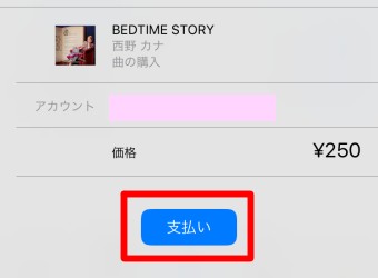「支払い」をタップ