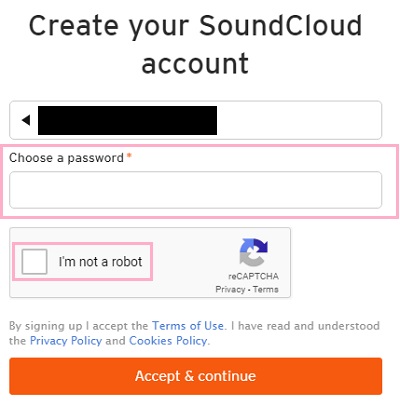 パスワードを入力して、「I'm not a robot」のチェックボックスをクリックし、「Accept & continue」をクリック