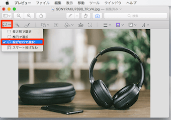 選択ツールボタンの投げ縄で選択をクリック