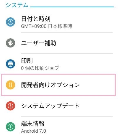 「開発者向けオプション」をタップ