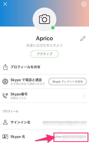 Skype名の項目