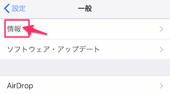 iPhoneの設定の一般の情報