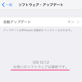 iPhoneの設定の一般のソフトウェア・アップデートの表示