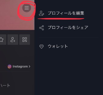 1番上にある『プロフィールを編集』というところを選択