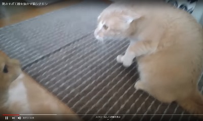 YouTubeのメニューのタスクマネージャーのプロセスのアプリのエクスプローラーの安定を確認