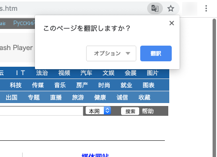 「翻訳」をクリック