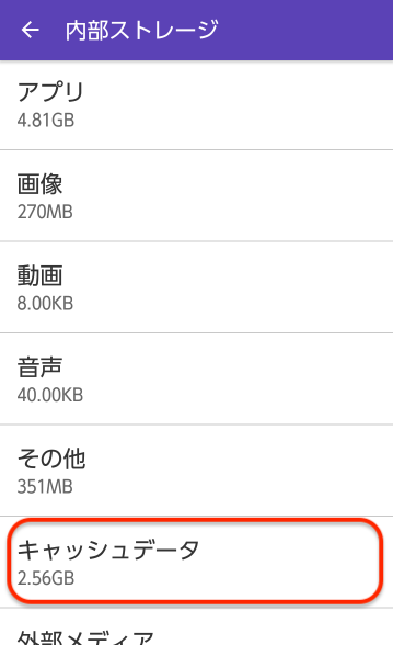 「キャッシュデータ」をタップ