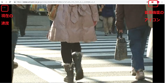 画面の右上に拡張機能のアイコンが表示されます。左上には速度が表示