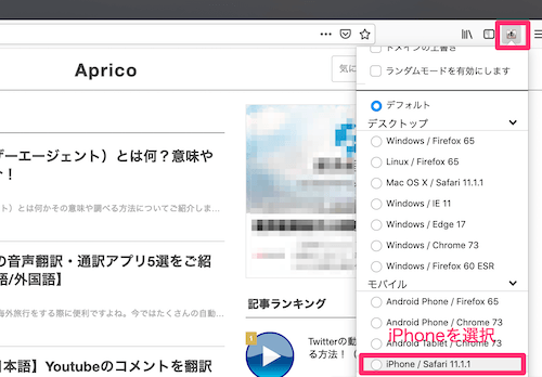 iPhone/Safariを選択