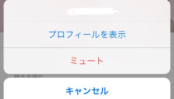 ストーリーの非表示（ミュート）の画面