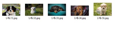 「名前（連番）」という形でファイル名・フォルダ名の一括変更が行われる