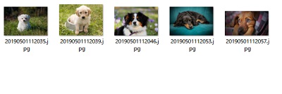 「日時」で一括変換した例