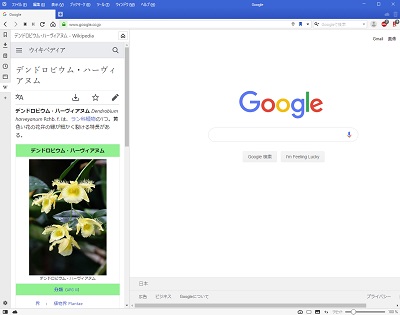 「Webパネル」には、指定したWebサイトを表示