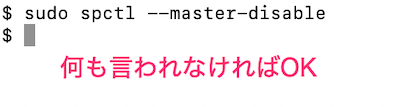 「sudo spctl --master-disable」の実行画面