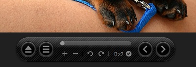 ウィンドウ下部にはボタンが表示