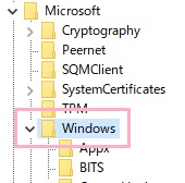 レジストリエディターが起動するので、左側のフォルダツリーから「HKEY_LOCAL_MACHINE」→「SOFTWARE」→「Policies」→「Microsoft」→「Windows」の順にフォルダを展開