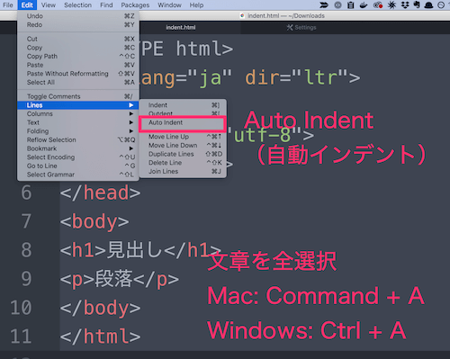 文章全体を選択し、Auto Indentを選択