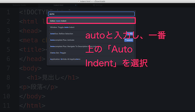 「auto」と入力し、一番上に表示される「Auto Indent」を選択