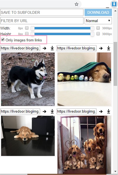 Image Downloaderウィンドウが開き、ページ上の画像一覧が表示