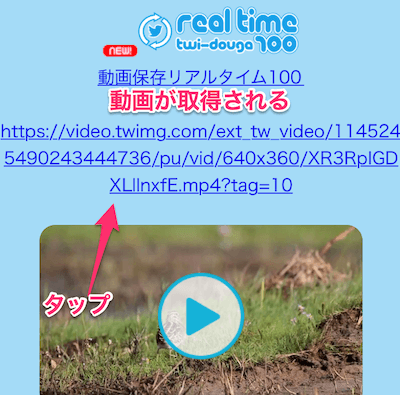 動画のURLをタップ