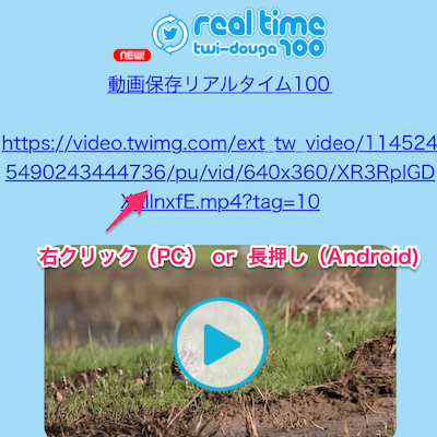 Twitterの動画が取得