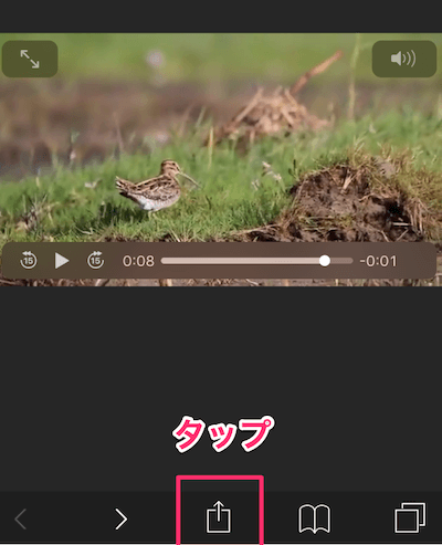 下部に表示されている「共有」アイコンをタップ