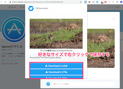 ダウンロードする動画の形式を選択するウィンドウ