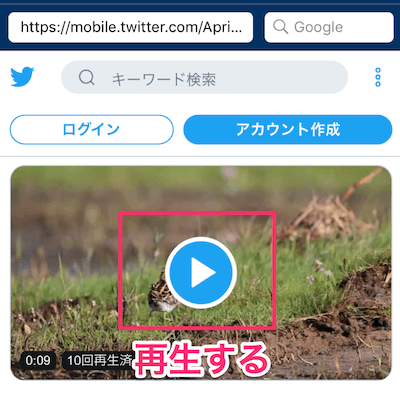 Twitterの動画のページが表示されますので、一度動画を再生