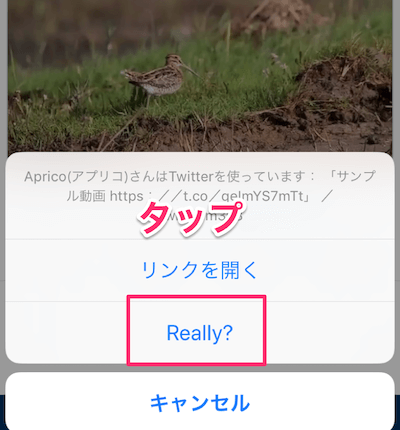 「Really？」をタップ