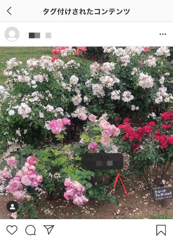 自分のアカウントをタップ