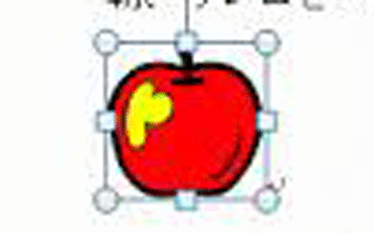 図表番号をつけたい図や表を選択