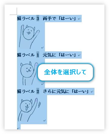 文書全体を選択