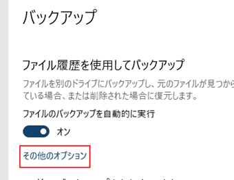 [その他のオプション]