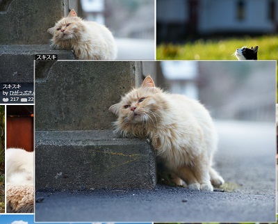 拡大（原寸大）表示された画像が表示