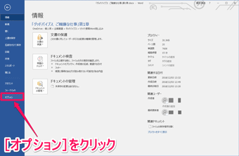「オプション」を押す