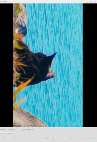 iPhoneで撮影した動画