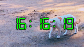 時間表示付きで動画が再生