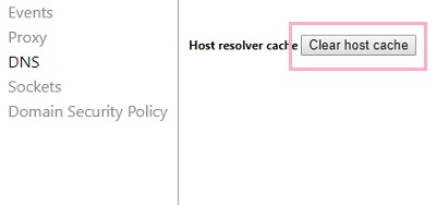 表示されたタブの「Clear host cache」ボタンをクリック