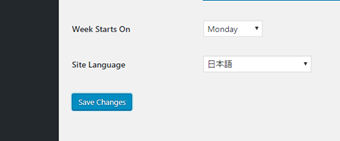 ページ一番下の[Save Changes]をクリック