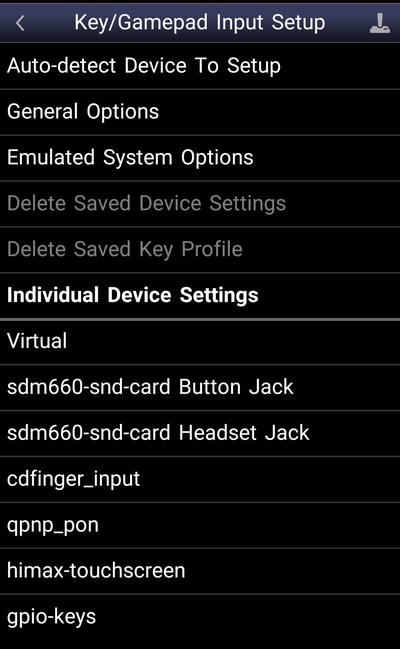 「Key/Gamepad Input Setup」の「Auto-detect Device To Setup」をタップ