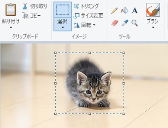 「四角形選択」の場合切り取る範囲を始点かた終点までドラッグして四角で囲む