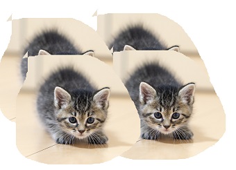 先ほど白かった部分が綺麗に透過